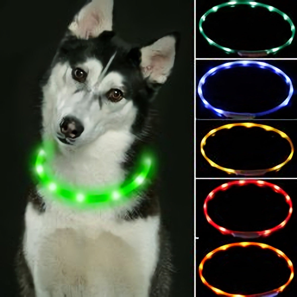 Kürzbares LED-Hundehalsband mit mehreren LEDs