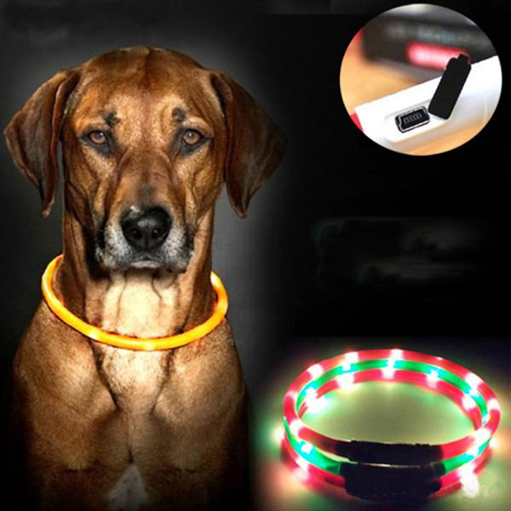 Kürzbares LED-Hundehalsband mit mehreren LEDs