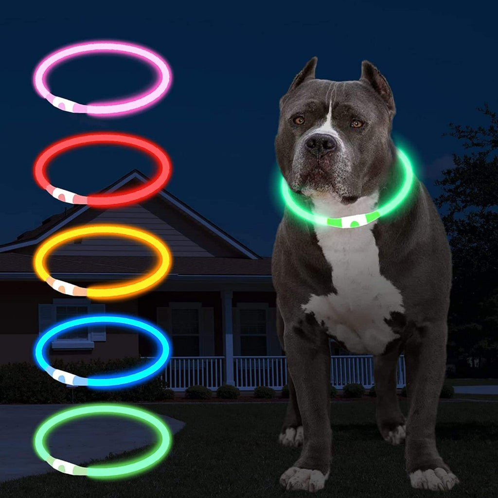 Kürzbares LED-Hundehalsband mit USB-Akku