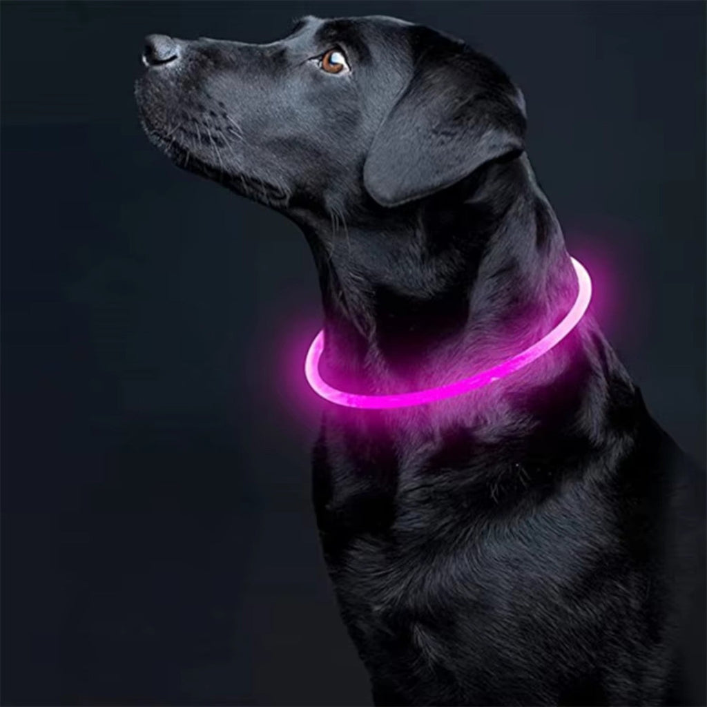 Kürzbares LED-Hundehalsband mit USB-Akku