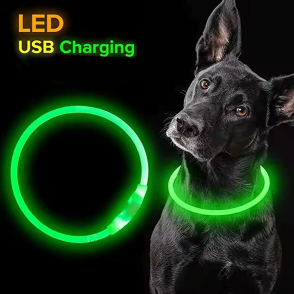 Kürzbares LED-Hundehalsband mit USB-Akku