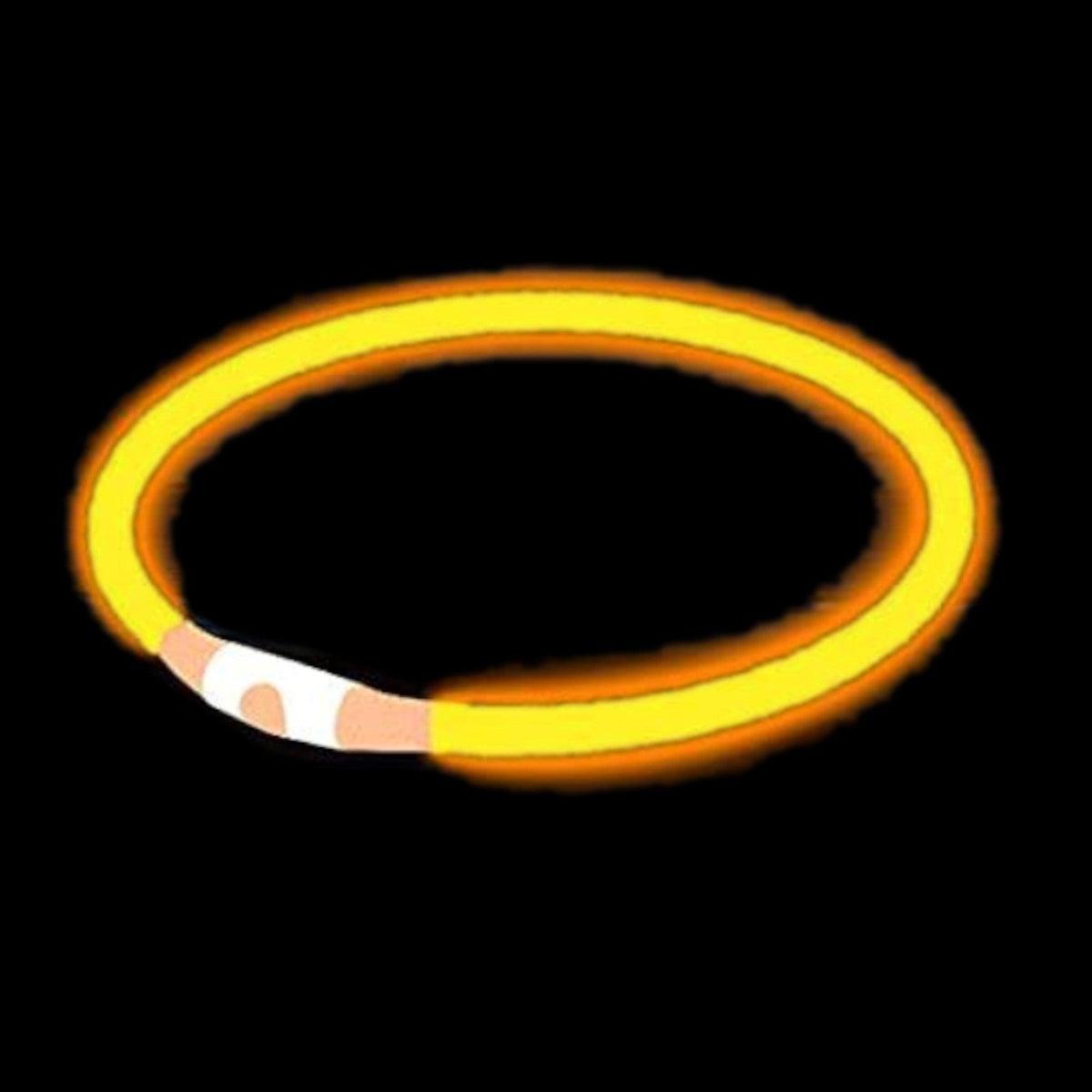 Kürzbares LED-Hundehalsband mit USB-Akku