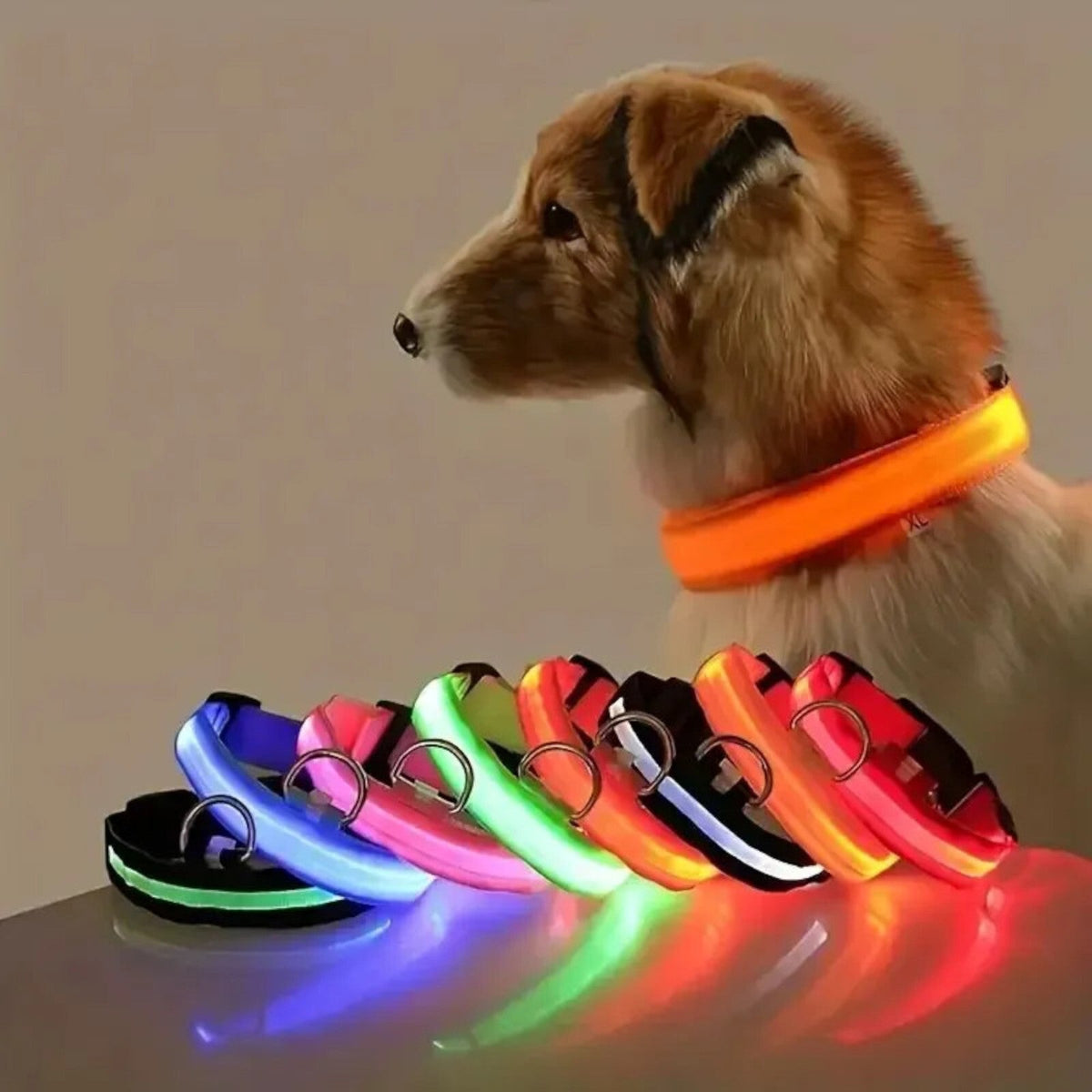 LED-Hundehalsband aus Nylon 45–58 cm