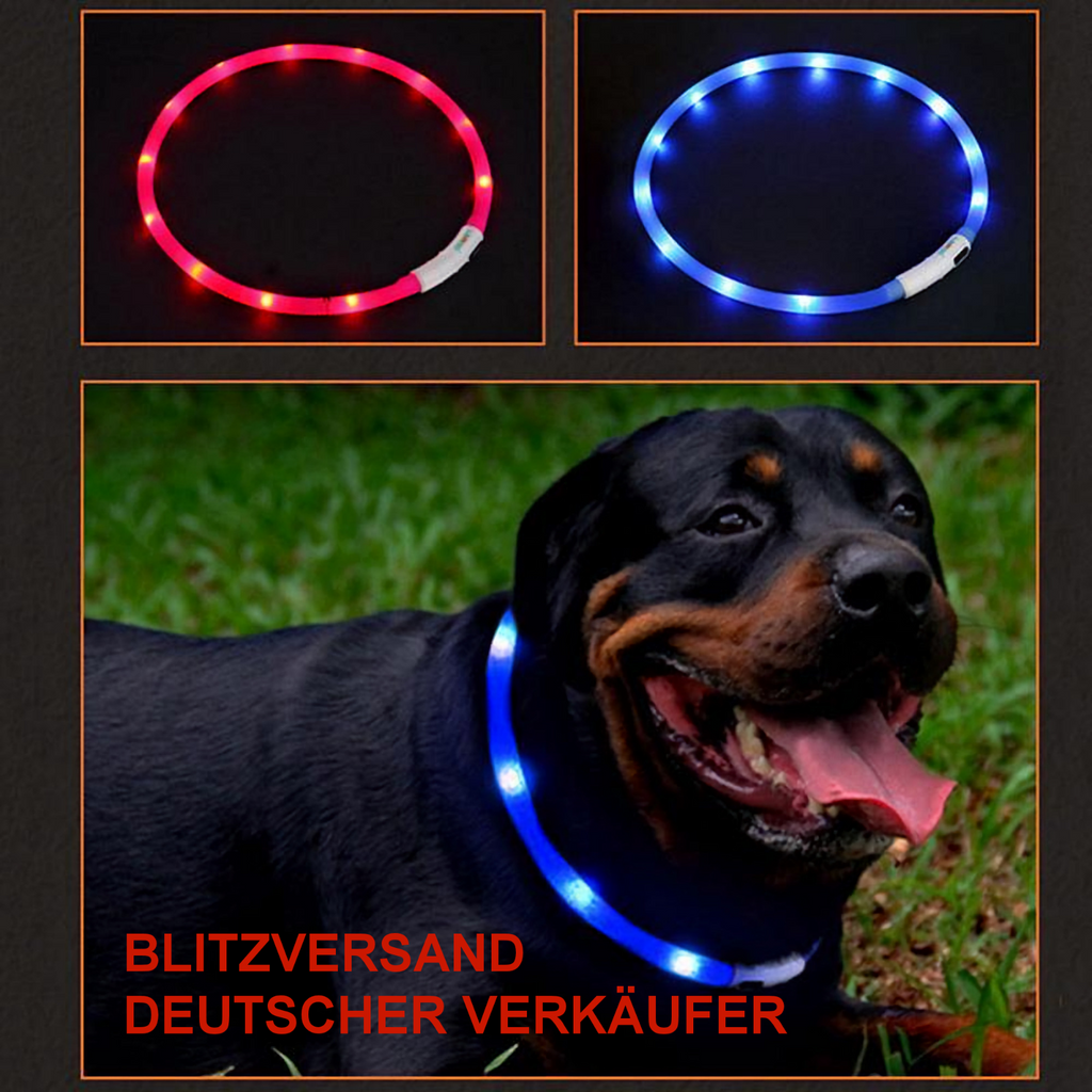 Kürzbares LED-Hundehalsband mit mehreren LEDs