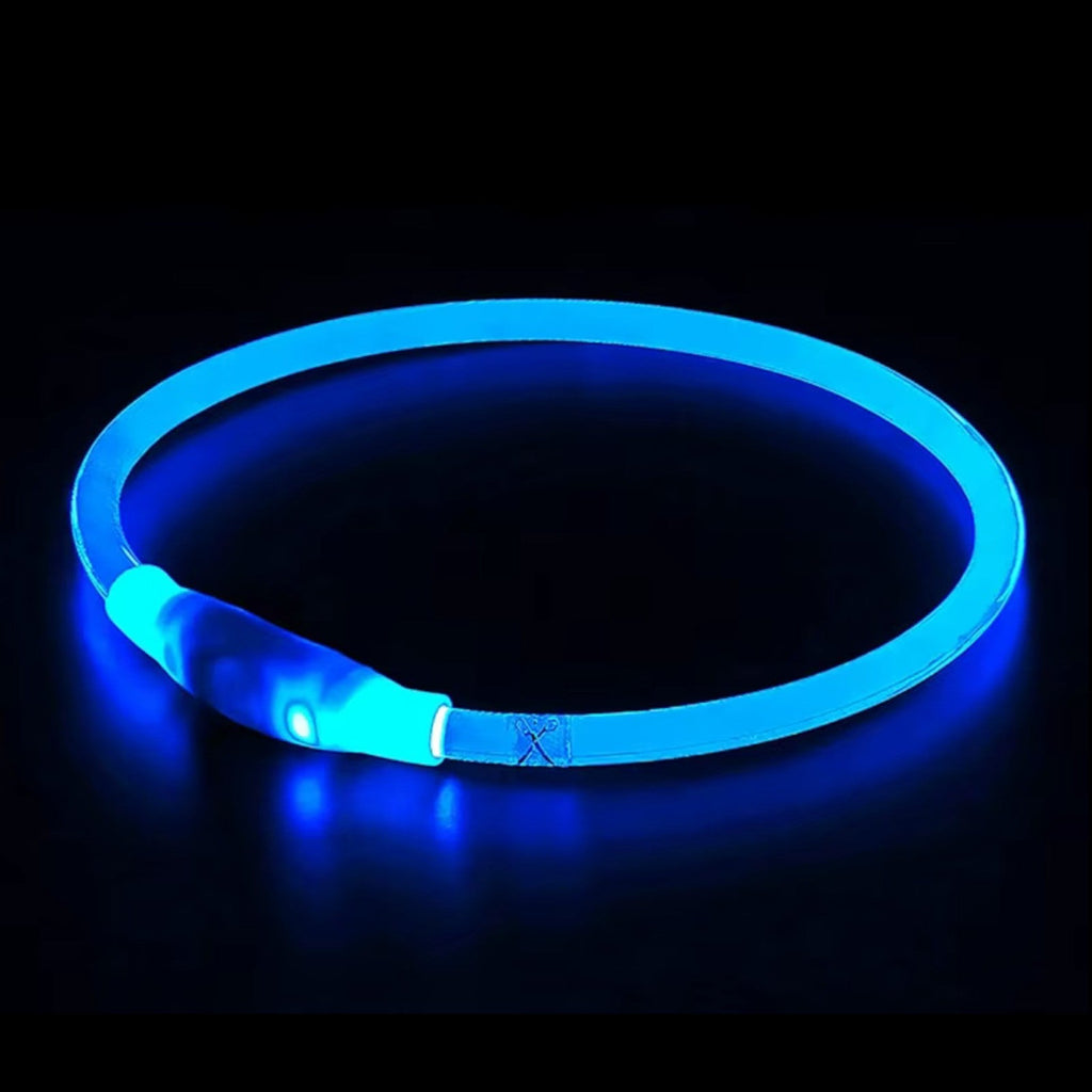 Kürzbares LED-Hundehalsband mit USB-Akku