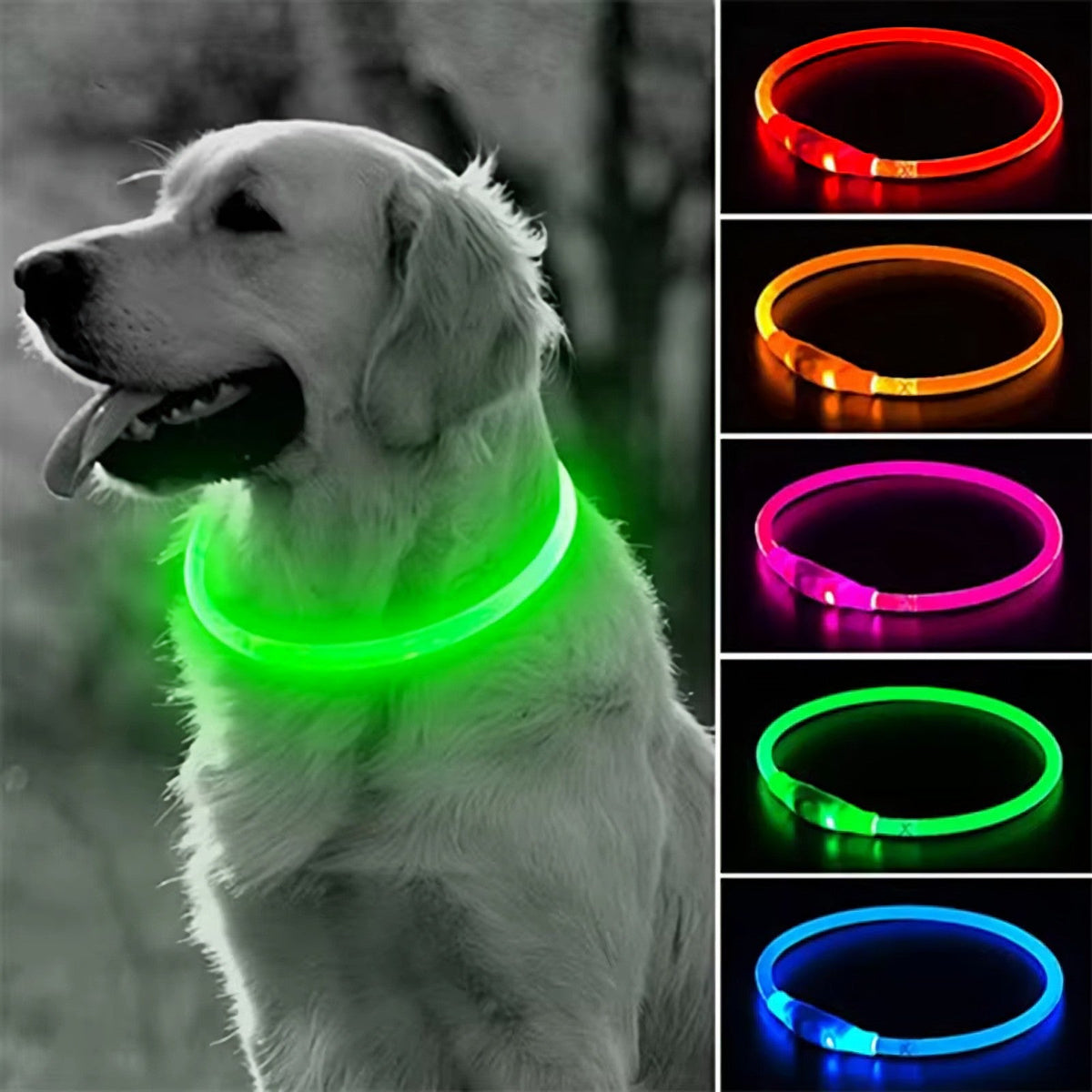 Kürzbares LED-Hundehalsband mit USB-Akku